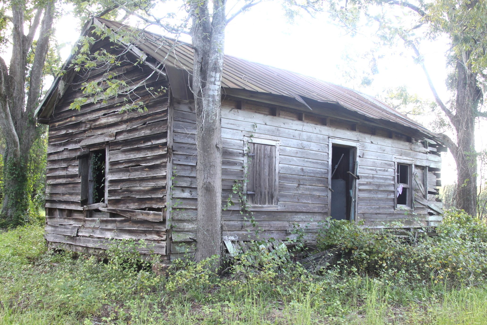 Jane James House with collapsed roof sections and missing wall panels revealing urgent need for structural restoration